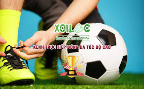 Xôi lạc tv - Nền tảng xoilactv.skin trực tiếp bóng đá đỉnh cao toàn cầu